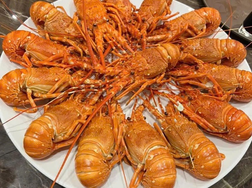 Cooked steamed lobster
