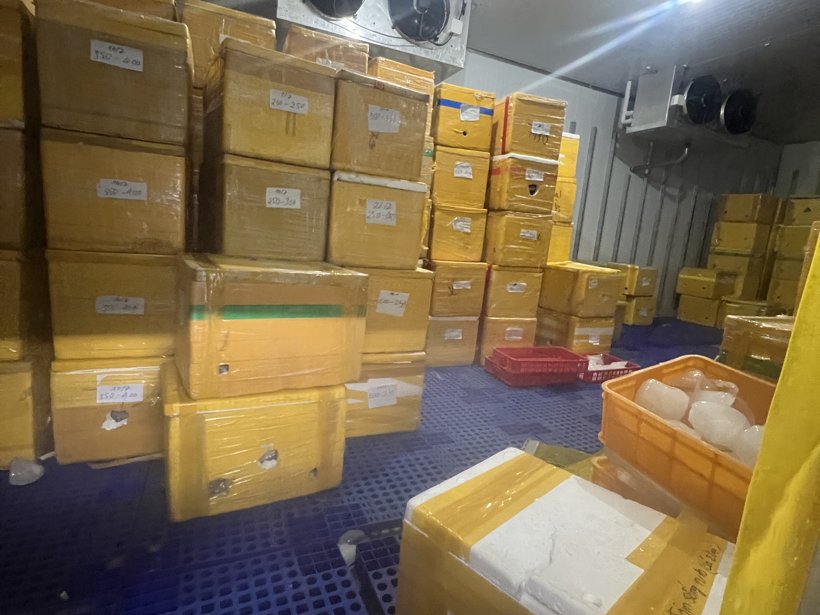 Cold storage warehouse