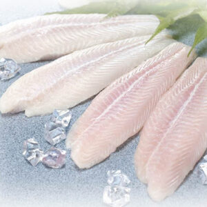 Alternative view of Mackerel