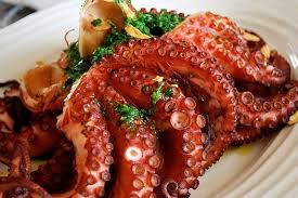 Alternative view of Octopus