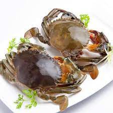 Alternative view of Crab