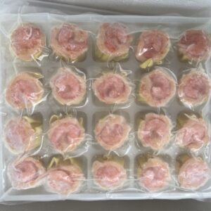 Alternative view of Shumai